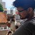 Moli (@fmolina_dev) Twitter profile photo Moli (@fmolina_dev) Twitter profile photo