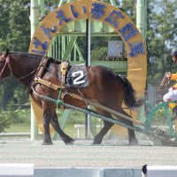 ばんえい競馬の達人 (@baneitatsgin) 's Twitter Profile