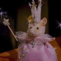𝕻𝖗𝖎𝖘𝖈𝖎 🦋 (@priscimacchi) 's Twitter Profile Photo 𝕻𝖗𝖎𝖘𝖈𝖎 🦋 (@priscimacchi) 's Twitter Profile Photo