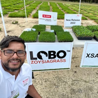 Turfgrass Research Specialist at NCSU | Turfgrass Breeding Program | St. Augustinegrass | Zoysia | Centipede | Bermuda | Fescues.