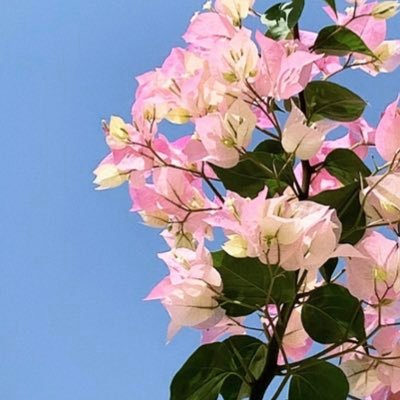 fatma26123059's profile picture. 