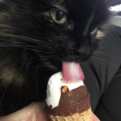 Anafran007's profile picture. reading,cats, tennis.