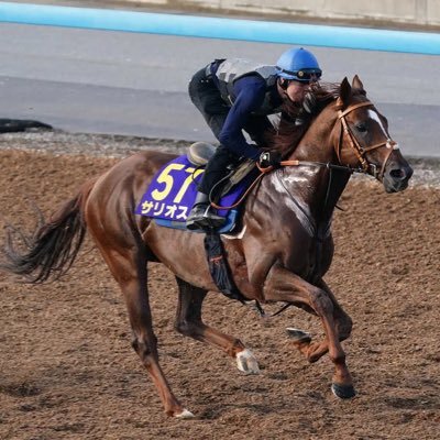 ske489's profile picture. エンタメ、音楽、競馬大好きです。いろんな情報をみなさんと共有できればと思います。