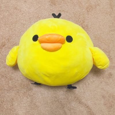 ip_yucca_pi's profile picture. 中小メーカー知財/2y🐘育児中/知財検定1級(特許)挑戦したい/無言フォロー失礼します🙇‍♀️