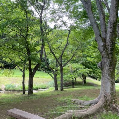 sanpowork's profile picture. 