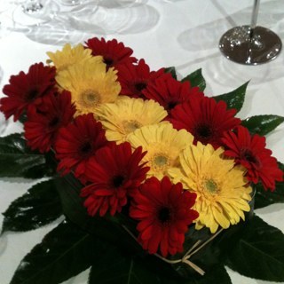 🇪🇸Gonzalo Garzón Ruiz🇪🇸 Profile