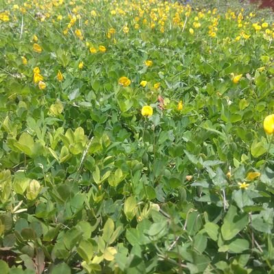 pavank6's profile picture. 