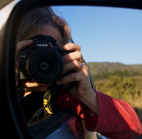 domesticexec's profile picture. Photography, food, basset hound loving Brit (now kiwi) living the good life in New Zealand. Life’s Work https://t.co/snYzTYJLB7 & @foodgatherings