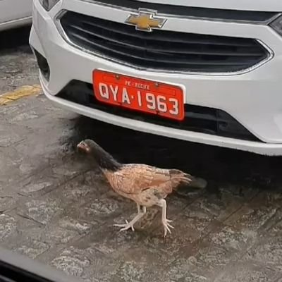 ☆ falar da vida é fácil difícil é ser vc msm ☆
recife, brasil e world wide web