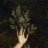 Max77884303's profile image