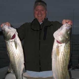 Robgillthebull's profile picture. 