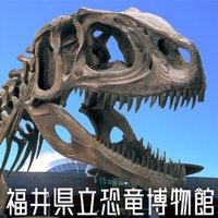 福井県立恐竜博物館 (@fukuidinosaurs) 's Twitter Profile Photo 福井県立恐竜博物館 (@fukuidinosaurs) 's Twitter Profile Photo