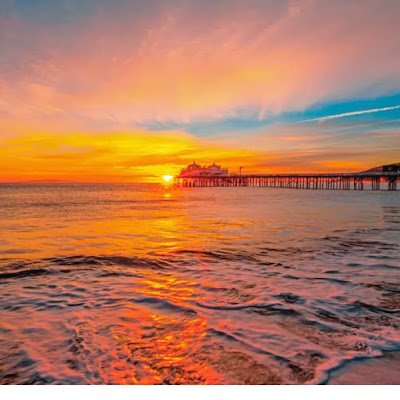 LizzyMe30665021's profile picture. 