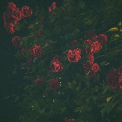 C7ThNCyDAFmSRpp's profile picture. はるです😊親は頼れないので大学の学費と生活費の為に始めました😌慣れてませんがよろしくお願いします！😇160/56/G #P活 #PJ #P活女子 #PJさんと繋がりたい