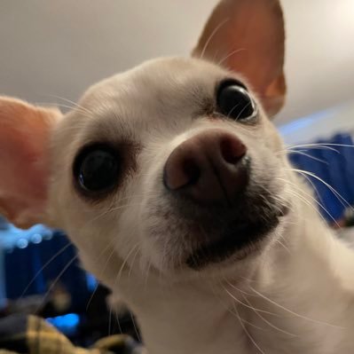 MonkMizuchi's profile picture. I stream my Steam backlog on Twitch.