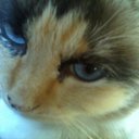 Connie Lehman - @ConnieLehman - Twitter