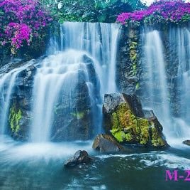 AhmedUmar3344's profile picture. Small but mighty