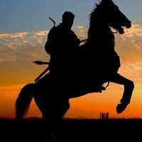 Fatih (@desertstorm61) 's Twitter Profile