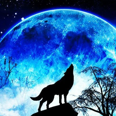 Blissful_Curse's profile picture. Innocent but not a fool, Good but not gullible, Helpful but mean at times.