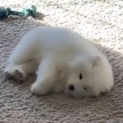 ArpornPatnaree's profile picture. 