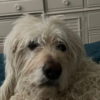 Cathy (@itscathync) 's Twitter Profile