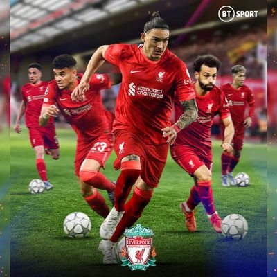 CMON_YOU_REDS Profile Picture