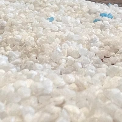 torito_576's profile picture. 閲覧垢 24⤴︎ ゆめあか 夢話♡