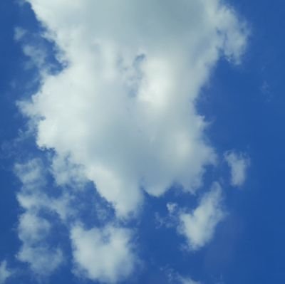 icecreaaaaaammm's profile picture. 