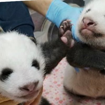 wDGsqn2UCzrAwP6's profile picture. 穏やかな一日になりますよう