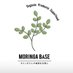 MORINGA BASE (@moringa_jijiy) Twitter profile photo