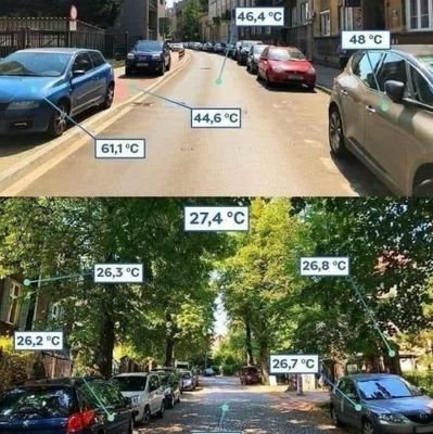 OpemipoRobert_E's profile picture. Philosophy🤔. 
⚠️Gemini