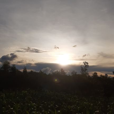 NTENTHAONGADRE's profile picture. Don't worry about us over here when you good👣