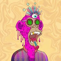 Gianni (@gianninft) Twitter profile photo