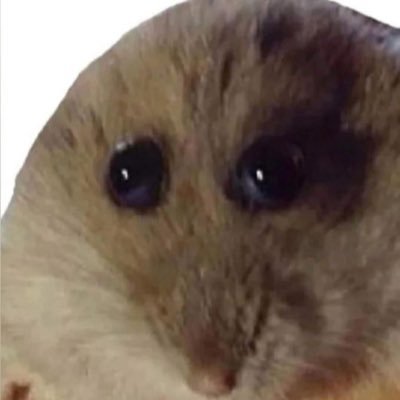 Сфешуляндрияさんのプロフィール画像