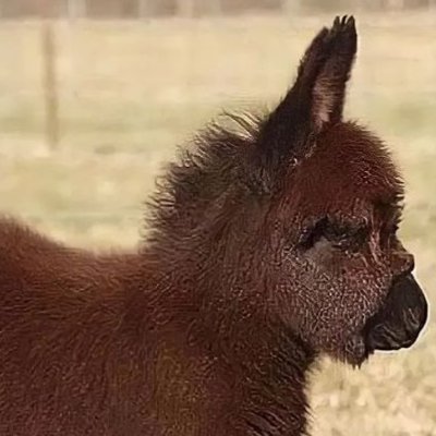 Valen93492687's profile picture. Hola