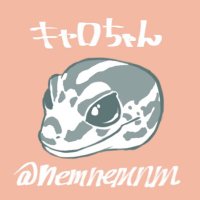 うぃでぃこ (@iruha) 's Twitter Profile