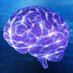 Metabolism of Brain Cancer Study (@cancermetstudy) Twitter profile photo Metabolism of Brain Cancer Study (@cancermetstudy) Twitter profile photo