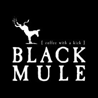 Black Mule(@BlackMule3) 's Twitter Profile Photo