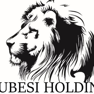 KwaziMbili's profile picture. Brought up in Umlazi Township, Kwazi Mbili epitomizes the business leadership requirements of the new South Africa and the need for an inclusive economy.