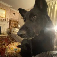 Kevinconfused #COYS #FBPA #FBPE #FBPR #johnsonout (@kevincoysfbpe) 's Twitter Profile Photo Kevinconfused #COYS #FBPA #FBPE #FBPR #johnsonout (@kevincoysfbpe) 's Twitter Profile Photo