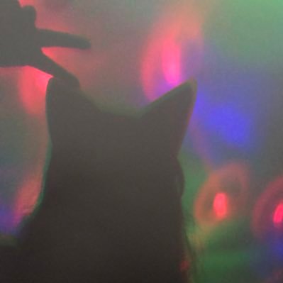 AnnSak23's profile picture. Fairy ball of fur | 🇵🇪 based | I can’t think about any description for this | @𝑺𝒂𝒌𝑨𝒏𝒏23