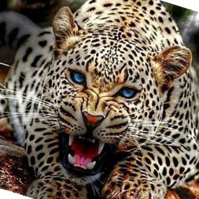 tenponokomon's profile picture. 