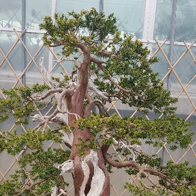 오직한분さんのプロフィール画像