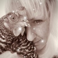 *KT* @kaytee.bsky.social (@kt_feathersquad) 's Twitter Profile