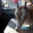 Jason Byrnes - @JasonByrnes13 - Twitter