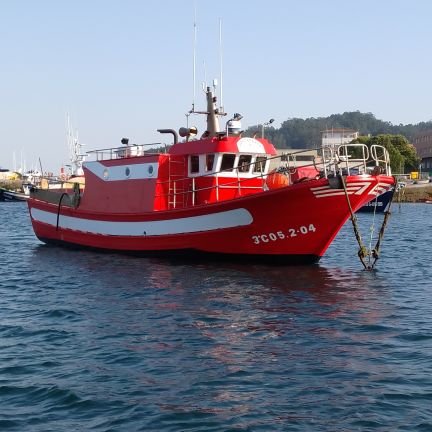 JoseSambad's profile picture. 