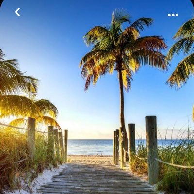 luzal007's profile picture. One is what he reads, the music he hears, the landscapes he sees, the worlds he touches ..✨