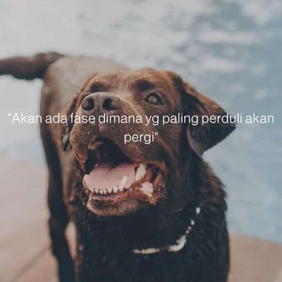 pickmplease's profile picture. useful for others