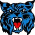 Hamilton High Football Memphis, TN (@HHSWILDCATS901) Twitter profile photo