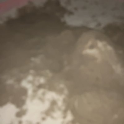 マズイウマイマズイさんのプロフィール画像